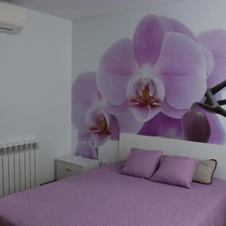 Natura - Fantastico Alojamento Com Piscina
